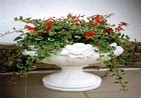 Floreros y potes de jardinería producidos a partir del mármol artificial